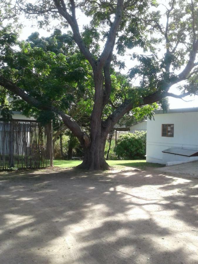 Guinea Fowl Villa Plettenbergbaai Buitenkant foto