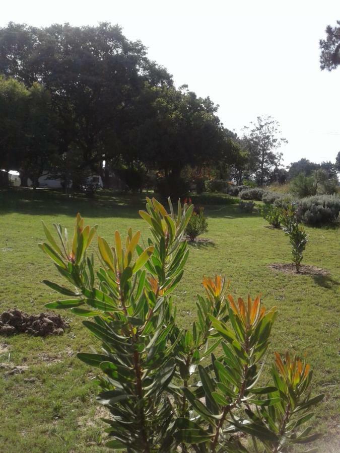Guinea Fowl Villa Plettenbergbaai Buitenkant foto