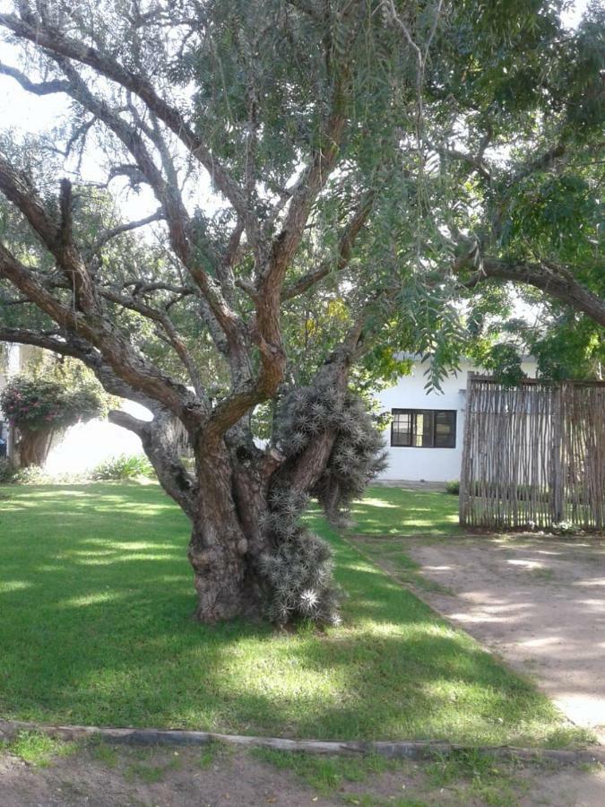 Guinea Fowl Villa Plettenbergbaai Buitenkant foto